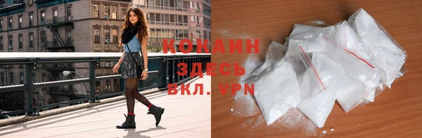 spice Алзамай