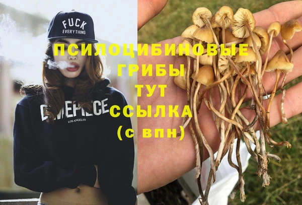spice Алексеевка