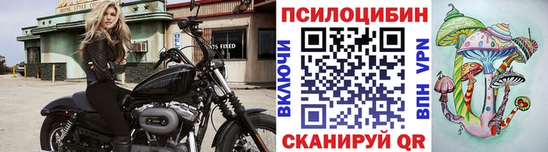 продажа наркотиков  МЕГА сайт  Галлюциногенные грибы Magic Shrooms  Иркутск 