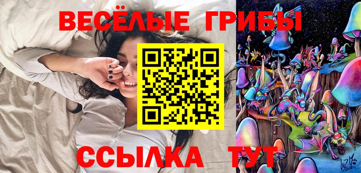Псилоцибиновые грибы мицелий  цена наркотик  Иркутск  Вход с VPN 