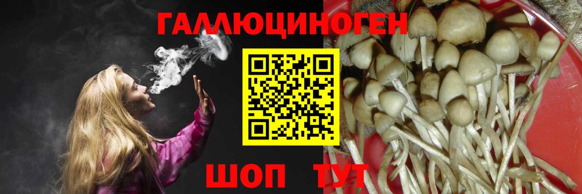 Псилоцибиновые грибы Magic Shrooms Иркутск
